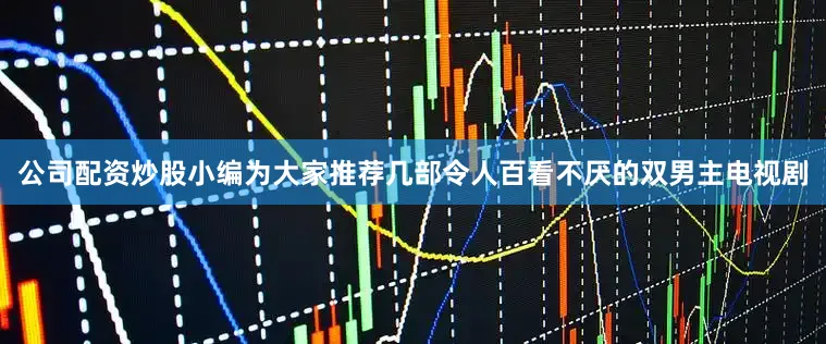 公司配资炒股小编为大家推荐几部令人百看不厌的双男主电视剧