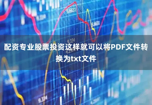 配资专业股票投资这样就可以将PDF文件转换为txt文件